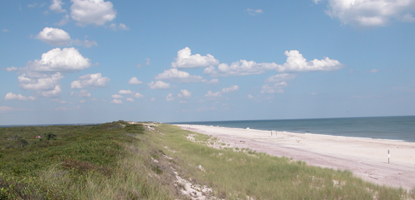 View of a primary dune, looking east.